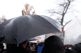 Protestors wait in the rain outside of the Hall of Languages.